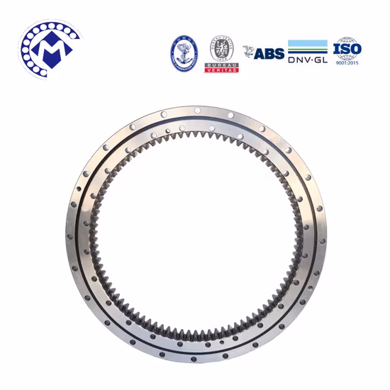 Customized Rotary Table Crane Slewing Ring Bearing