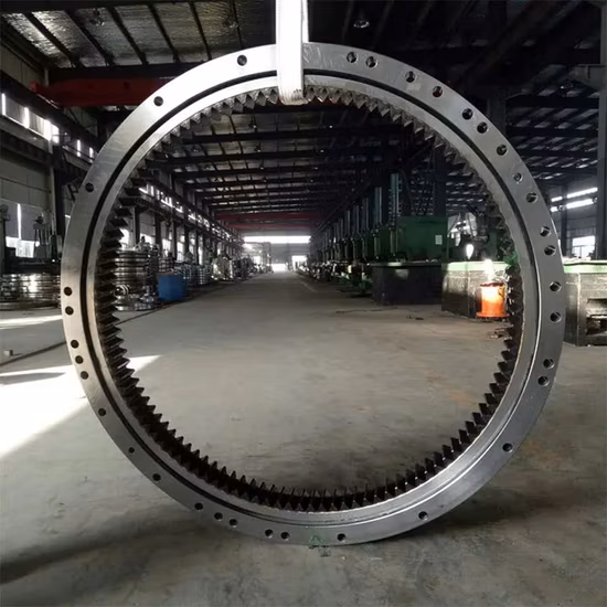 China Slewing Bearing Manufacturer Slewing Ring 21n
