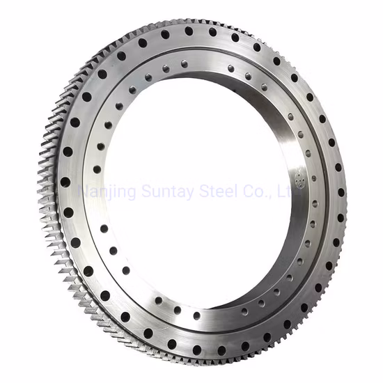 Customized Rotary Table Crane Slewing Ring Bearing 230.20.0400.013